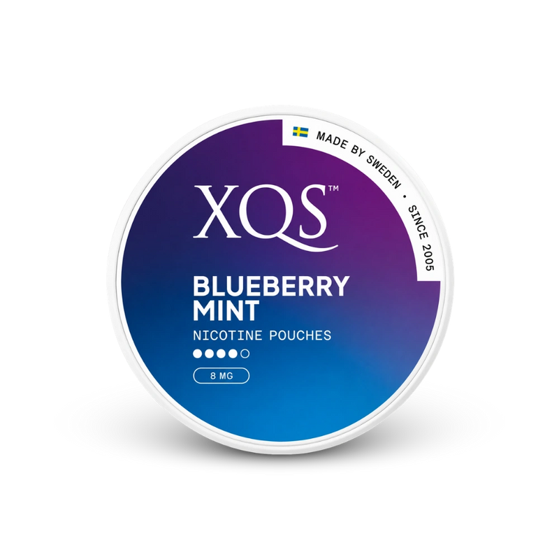 XQS Blueberry Mint Strong – nikotino pagalvėlių skardinė
