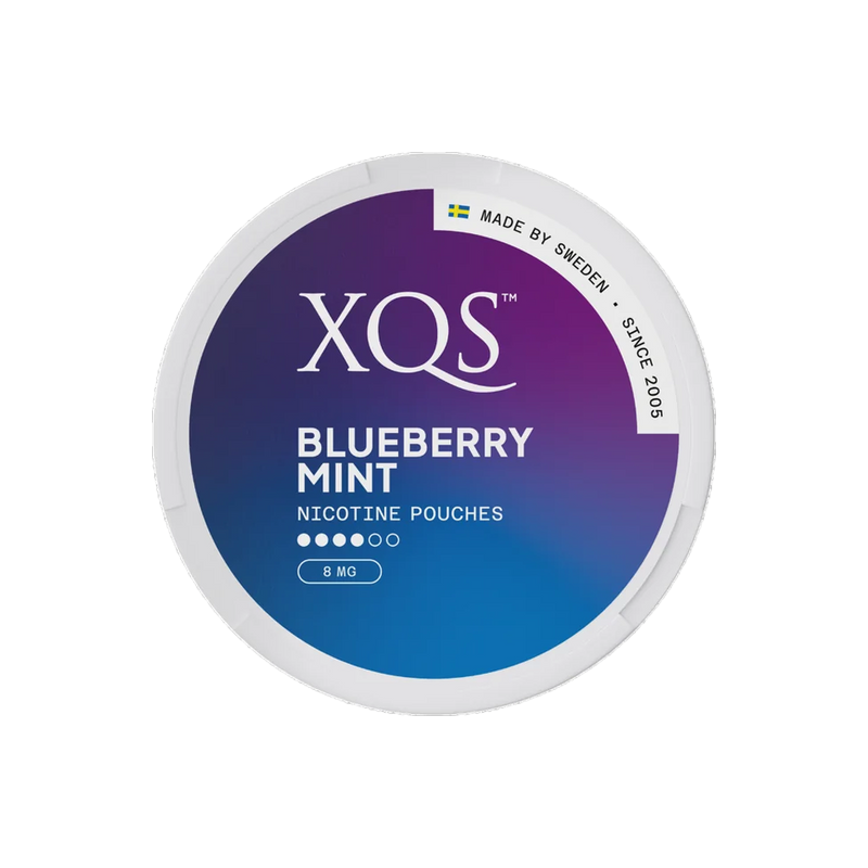 XQS BLUEBERRY MINT nicotine pouches can