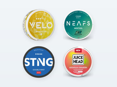 Snus šaldytuve: Ar tai būtina?