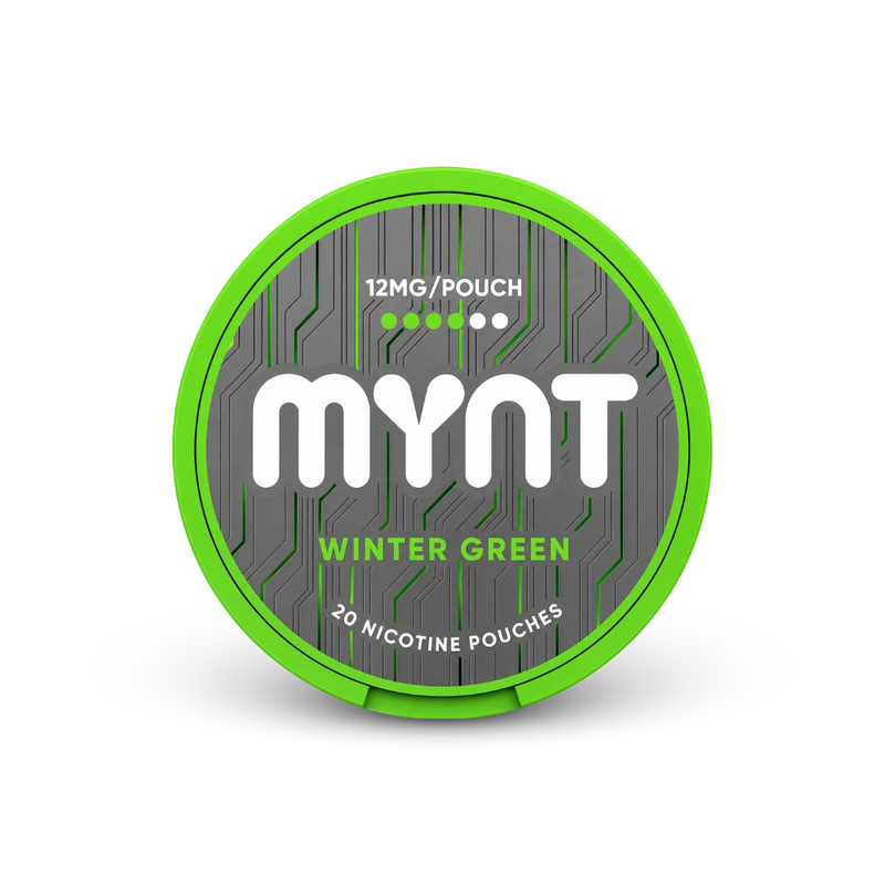 MYNT Winter Green Medium – nikotino pagaliuku doza