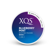 XQS Blueberry Mint Strong – nikotino pagalvėlių skardinė